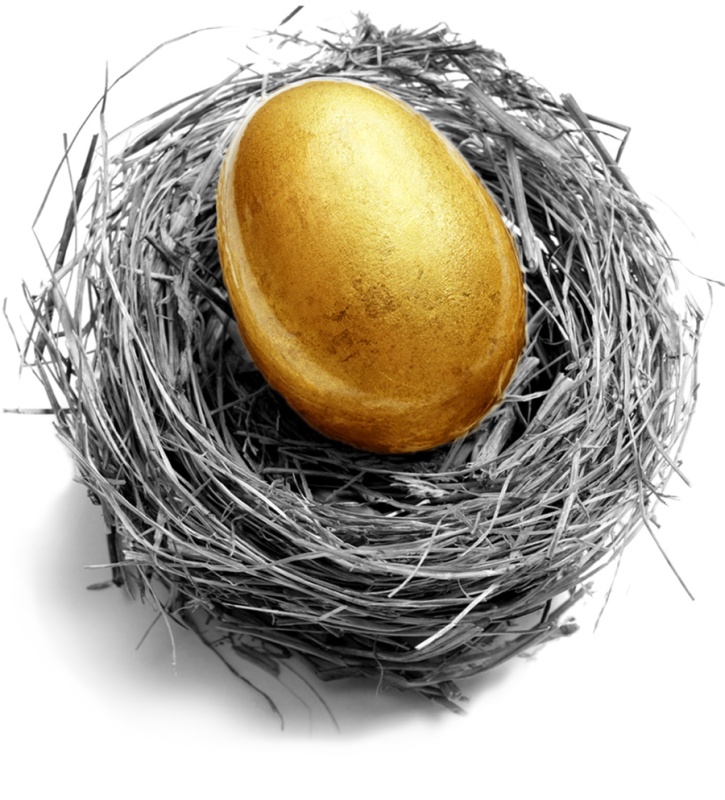 golden nest egg in black and white nest